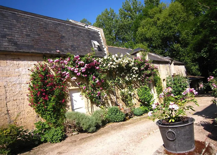 Riverside Retreat In